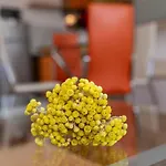 In - Insel Krk 13603 * Vrbnik (Primorje-Gorski Kotar)